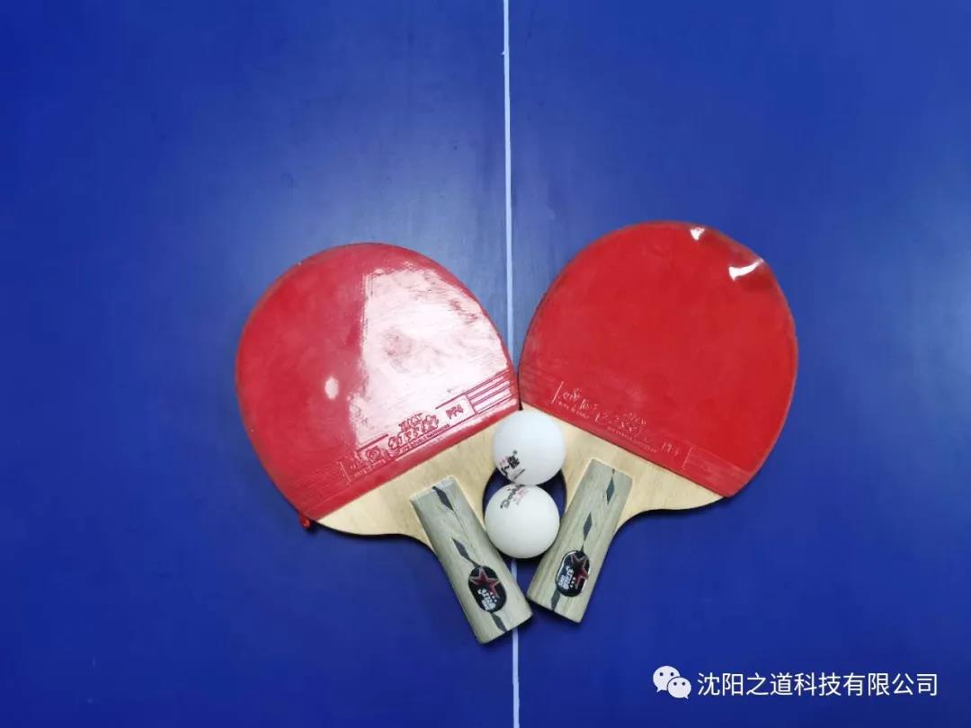 沈陽(yáng)網(wǎng)站優(yōu)化